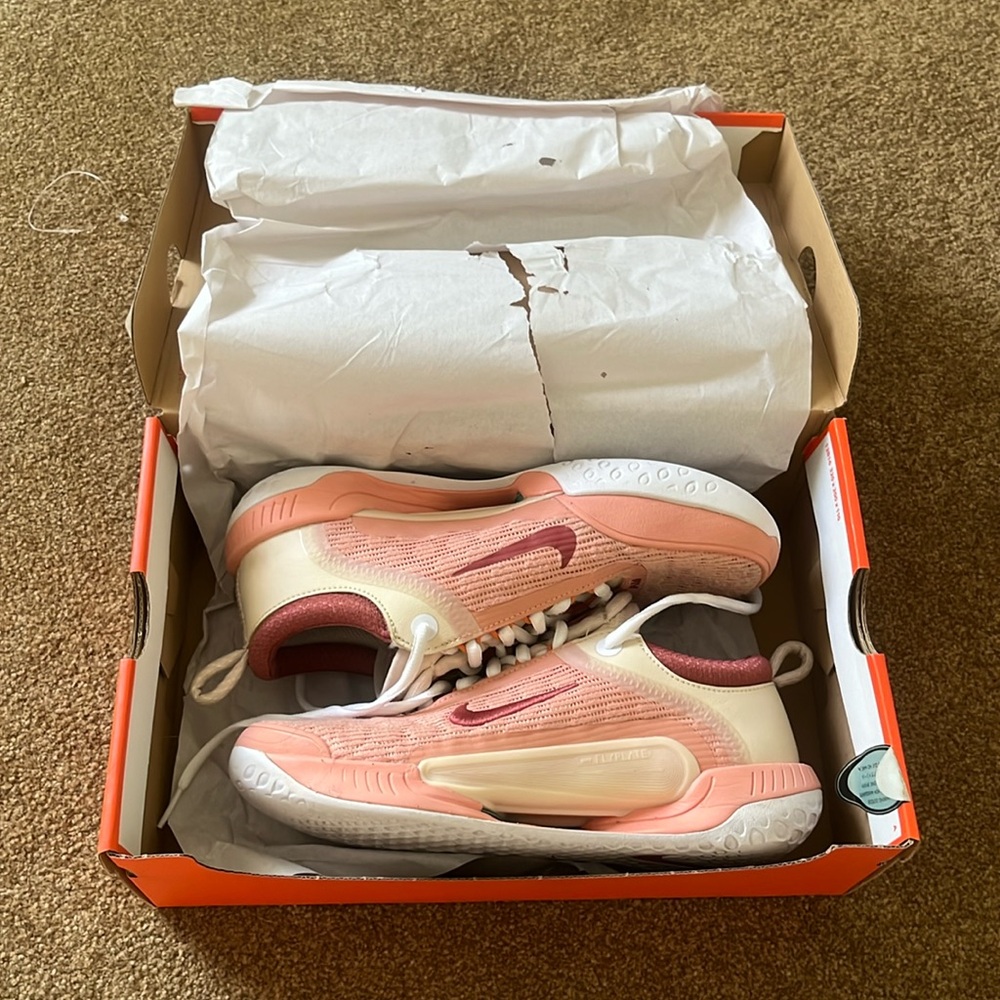 Women’s Nike Zoom Court NXT HC Tennis Shoes 7.5